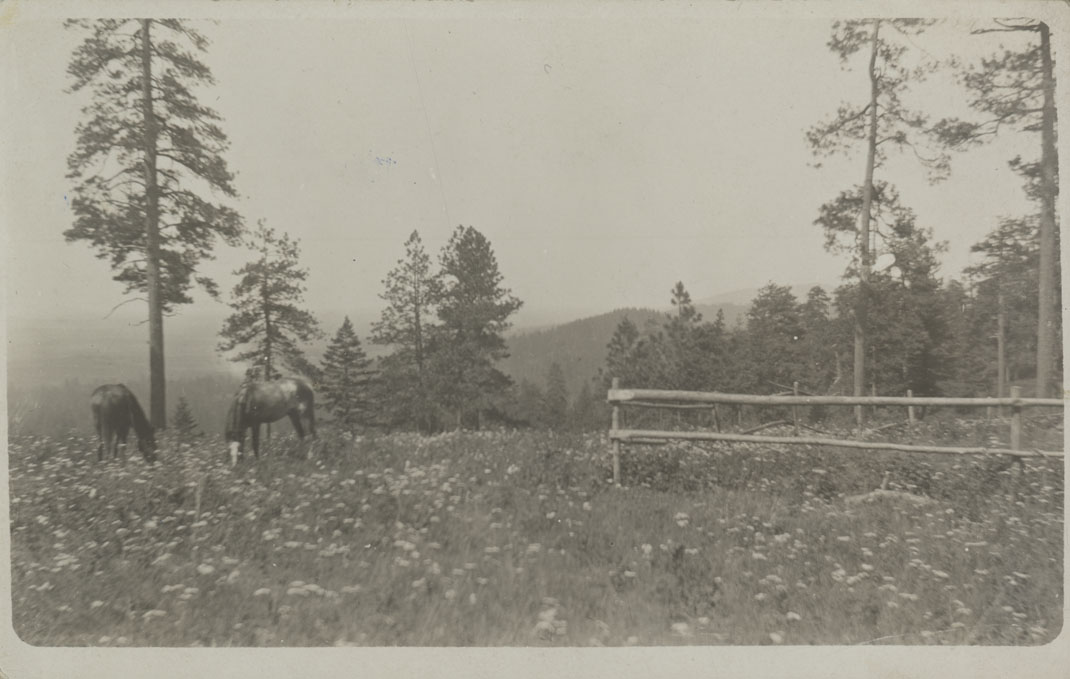 Warren T. Shepperd homestead S.W. of Plummer.